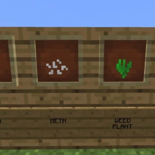 Best Minecraft Drug Servers
