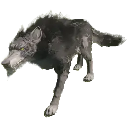 Wolf plan