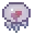 Jellyfish plan