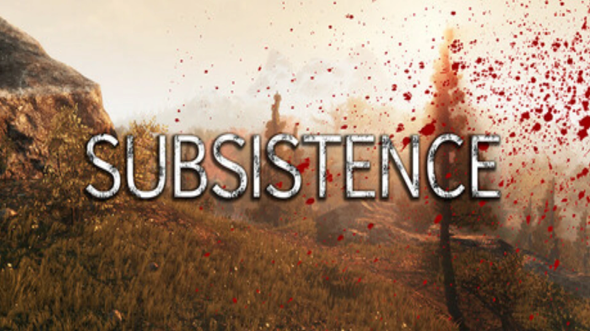 5 Best Subsistence Server Hosting Providers